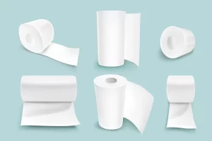 tissue manufacturer in Delhi